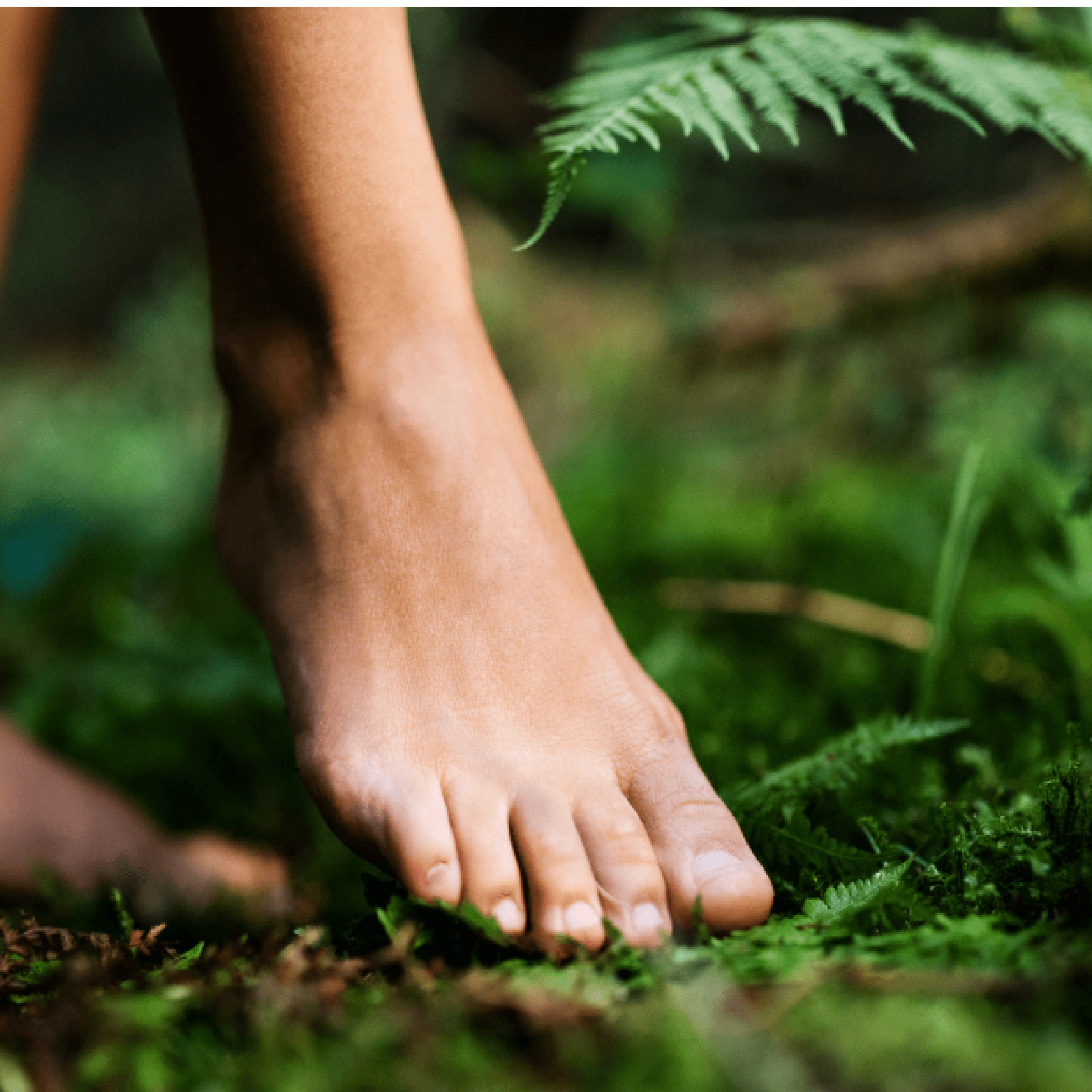 Right foot pressing into soil in forest